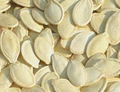 shine skin pumpkin seed 1