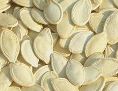 shine skin pumpkin seed