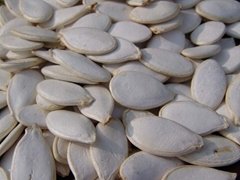 white pumpkin seeds