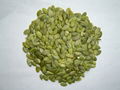 shine skin pumpkin seeds kernels - AA