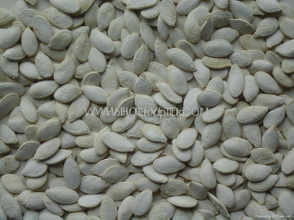 roasted and salted white pumpkin seeds