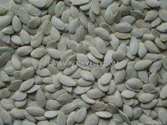 roasted and salted white pumpkin seeds