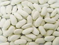 white kidney beans - long shape