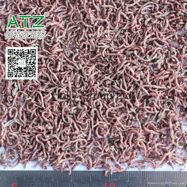 FD bloodworm 