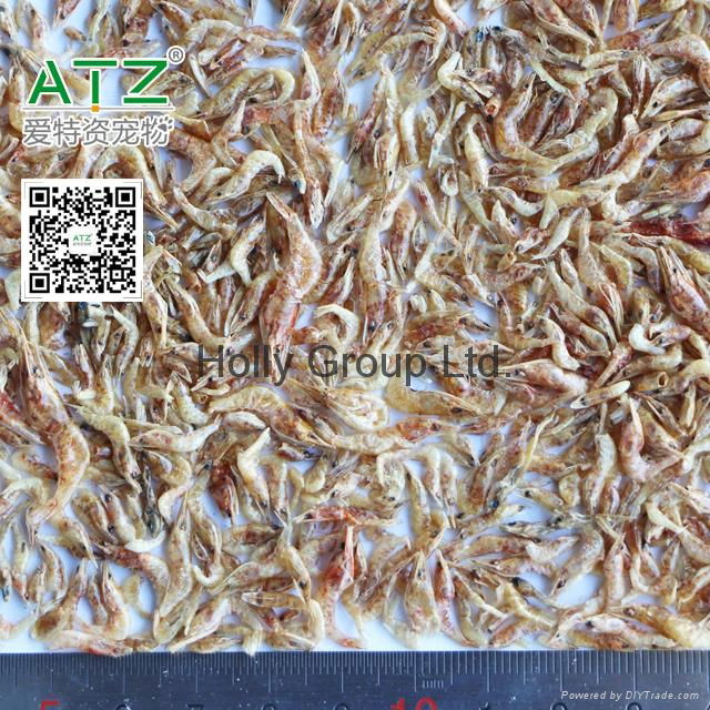 dried river shrimp 2