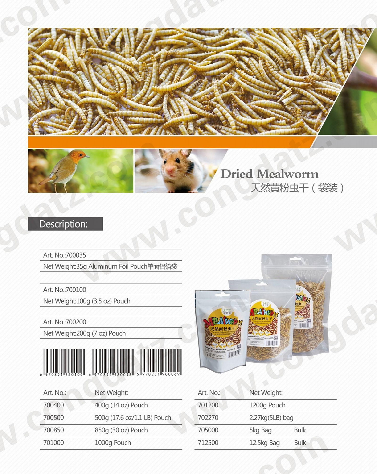 Dried Mealworms 2