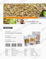 Dried Mealworms