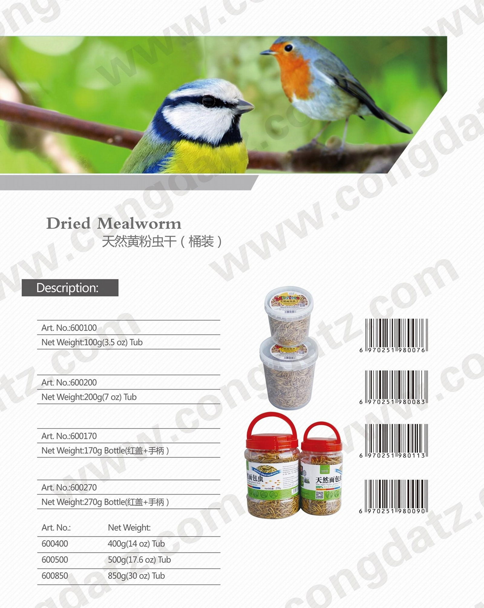 Dried Mealworms 3