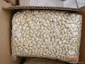 blanched peanut kernels- long  2