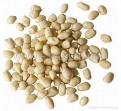 blanched peanut kernels- round