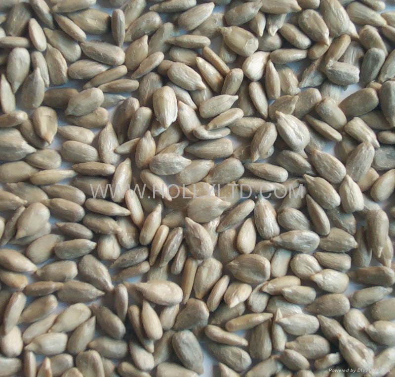 sunflower seeds kernelsbakery congda (China Manufacturer