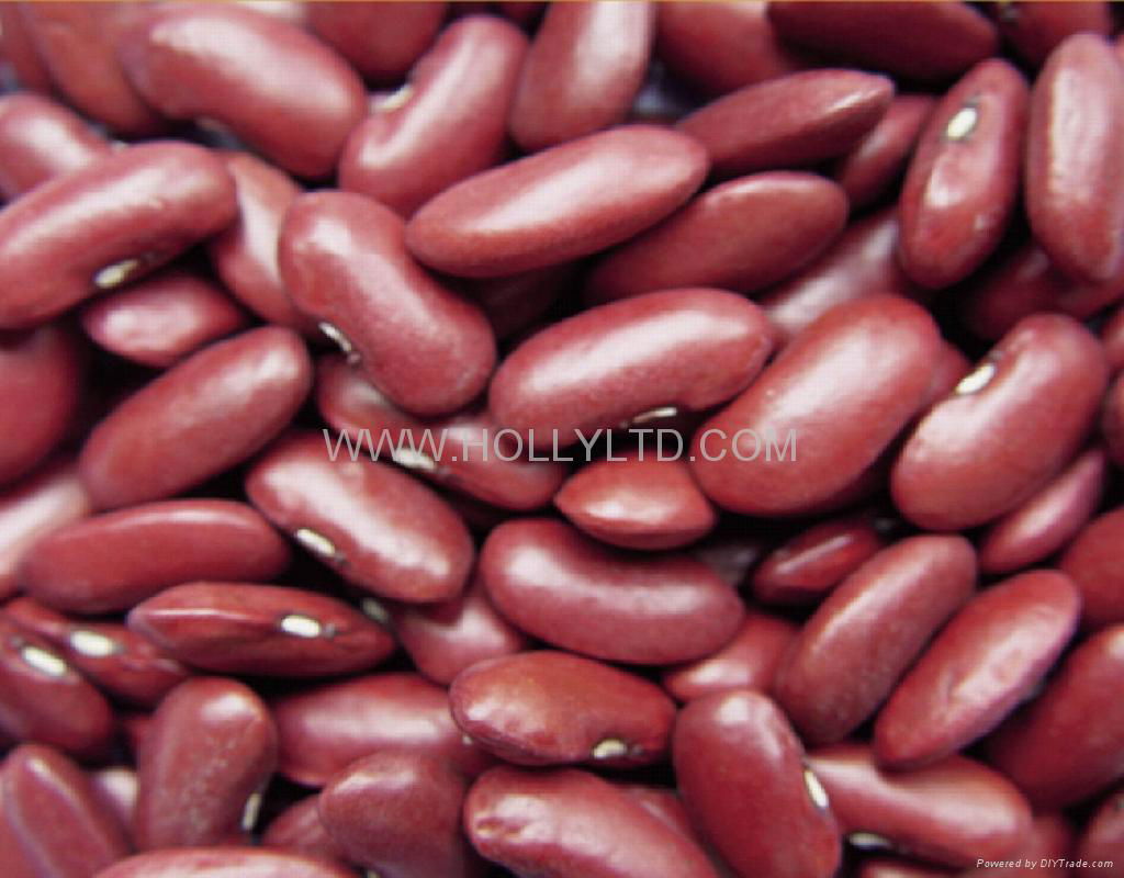 Red kidney bean 