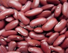 Red kidney bean 