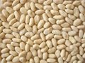 blanched peanut kernels- long 