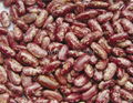 Red speckled kidney bean 1