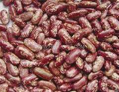 Red speckled kidney bean