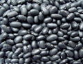 Small black kidney bean 1