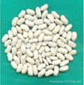 white kidney beans - long shape