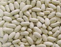 Small white kidney beans
