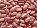 Red kidney bean  2