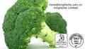 Broccoli Extract Sulforaphane 0.1%, 5%,