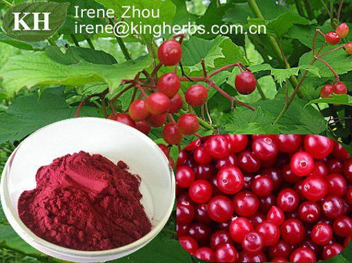 Cranberry Extract Anthocyanins 25%