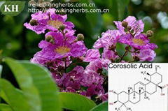 Diabetes Agent Banaba leaf extract  Corosolic acid 1%-98%