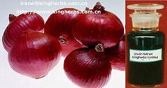 Pure natural Onion Extract / Allium Cepa Extract 10% quercetin