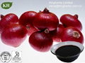 Pure natural Onion Extract / Allium Cepa Extract 10% quercetin 2