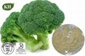 Broccoli Extract Sulforaphane 0.1%, 5%, 10%, 50% by HPLC