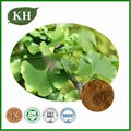 Ginkgo Leaf Extract 24/6/5 1