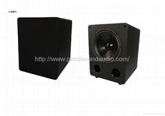 Home SUB10 10-inch subwoofer