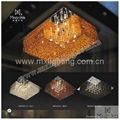 popular modern ceiling lighting  LED 1