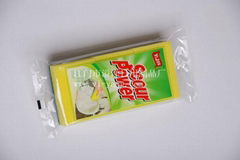 spong cleaning scouring pad