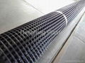 Polyester Geogrid with pvc coating