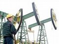 Russian Export Blend Crude Oil 
