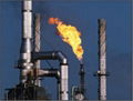 Liquefied petroleum Gas (LPG)