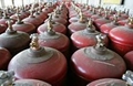 Liquefied petroleum Gas (LPG) 4