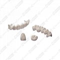 Dental Zirconia Blanks Highly translucent and Pre-colored zirconium blocks 4