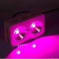 New updated cob led grow light full spectrum grow light led for plants growth br 3