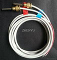 PT1000 temperature sensor pair