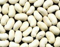 White Kidney Bean Extract 10:1