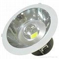  High Power Downlight 50W with Meanwell Driver and Bridgelux Chip