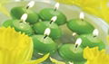 apple scent floating candle 1