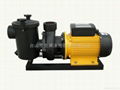 Metrological dosing pump 4