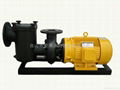 Metrological dosing pump 5