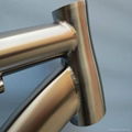 titanium bike frame 2