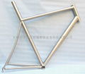 Titanium bike frame