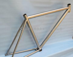 Titanium bike frame