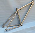 titanium bike frame